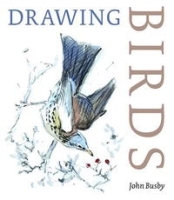 Drawing Birds артикул 13707b.